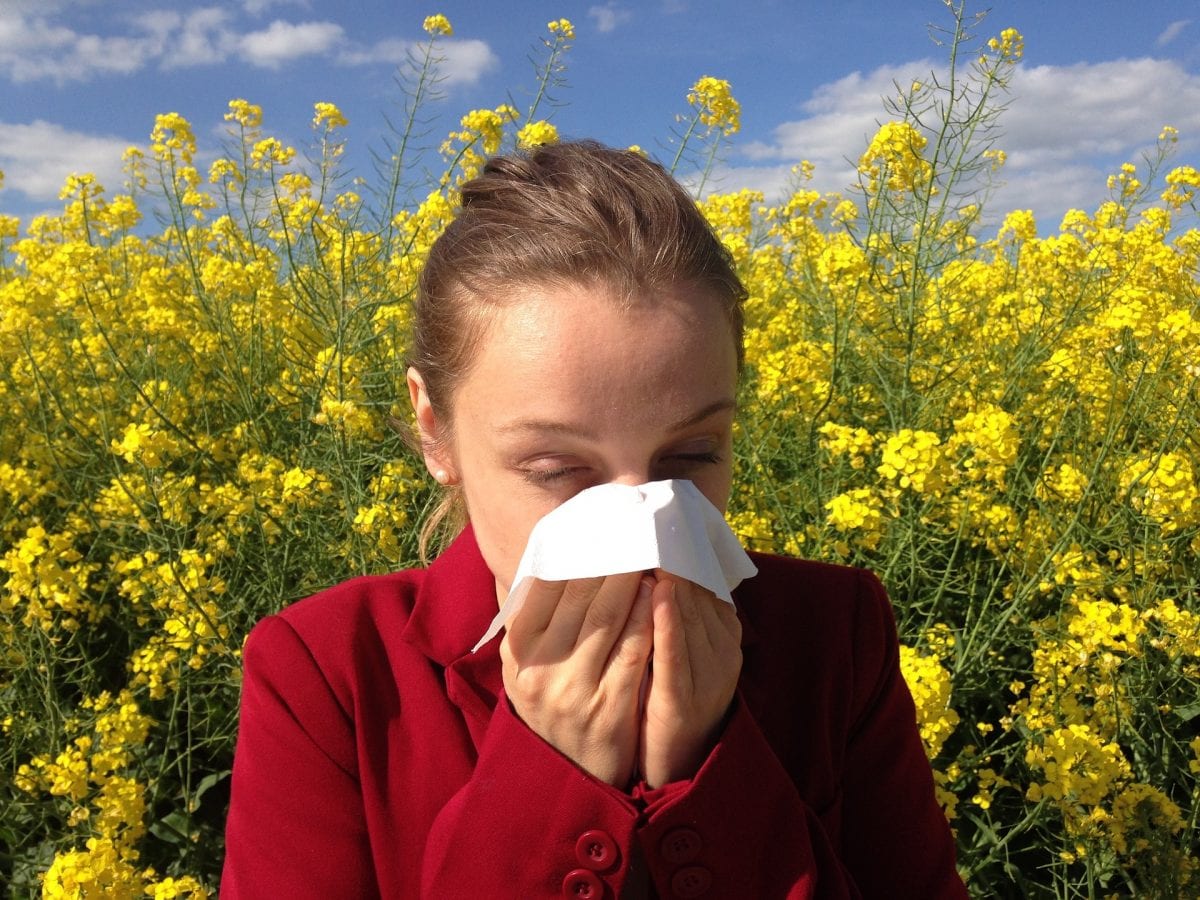 Allergy Sneezing